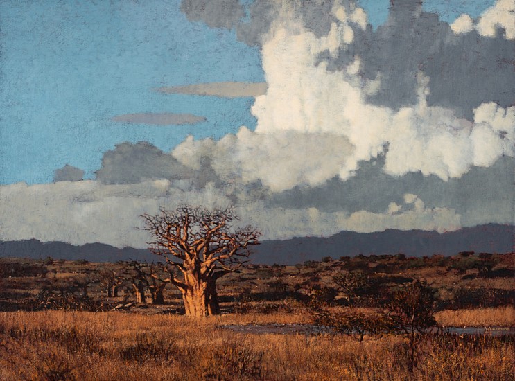 JOHN MEYER, Towards Tuli
Oil on canvas