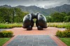 THE FUNDAMENTALISTS (monumental) in situ in Franschhoek