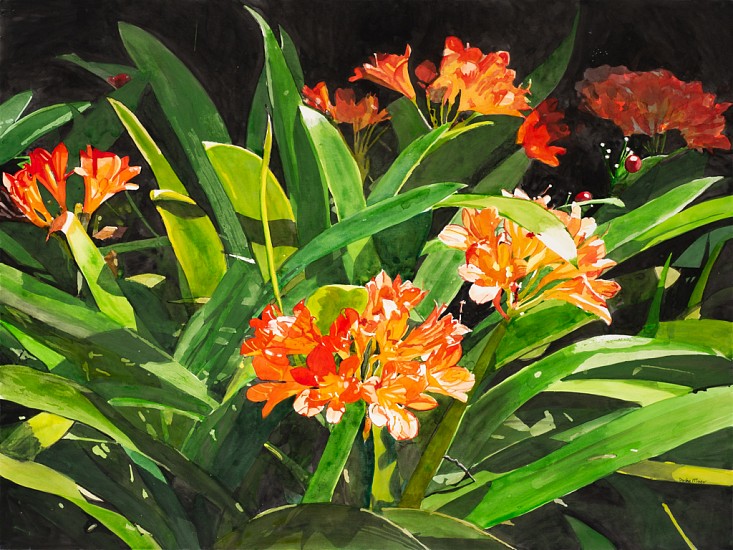 DENBY MEYER, Clivia<br />
Watercolour on board