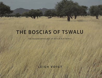 LEIGH VOIGT THE BOSCIAS OF TSWALI