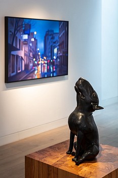 Everard Read Philip Barlow Dan Weill Photography