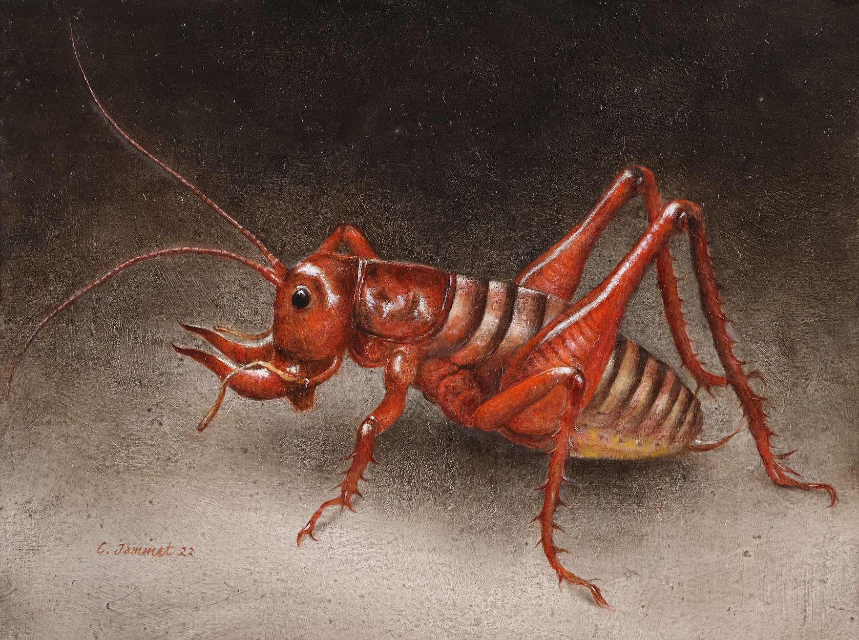 Parktown Prawn 23.5x31cm small