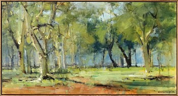 Fever Tree Forest Study 3, Northern Kruger, 58cm x 110cm, Oil on Canvas