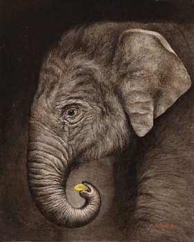 Claude Jammet, Memento, 2022, oil on paper on canvas, 45 x 36.5cm (web size)