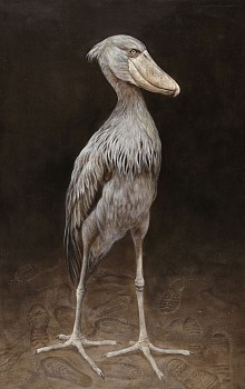 Claude Jammet, Sneaker, 2022, oil on paper on canvas, 140 x 91.5 (web size)