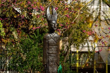 Chelsea Physic Gardens