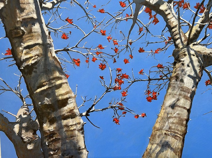 DENBY MEYER, Coral Tree Blossoms III
Acrylic on canvas