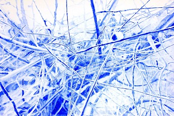 tanya poole moth sees in the moonlight no.3 ink on paper 70 x 100cm 2023 low