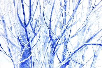 tanya poole moth sees in the moonlight no.4 ink on paper 70 x 100cm 2023 low