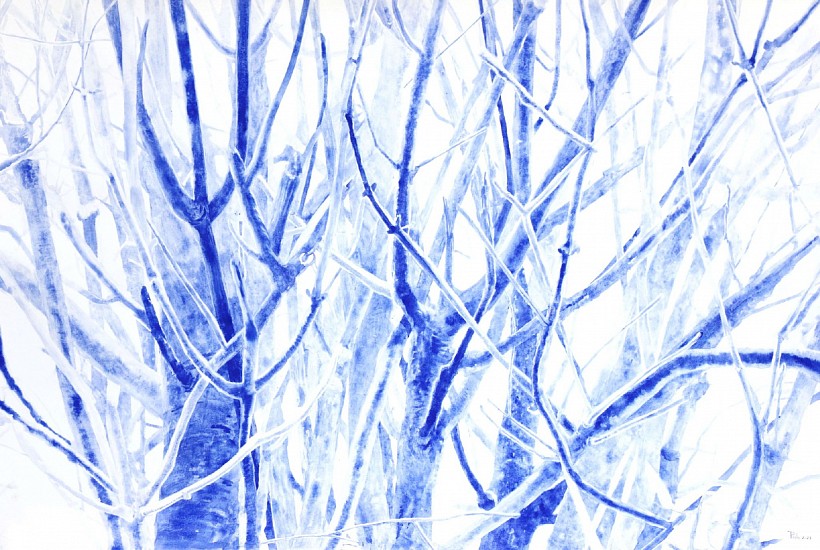 TANYA POOLE, Moth Sees in the Moonlight #4
Ink on paper