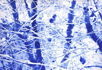 tanya poole moth sees in the moonlight no2 ink on paper 70 x 100cm 2023 med res