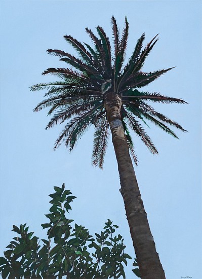 DENBY MEYER, Evening Palm
Acrylic on canvas