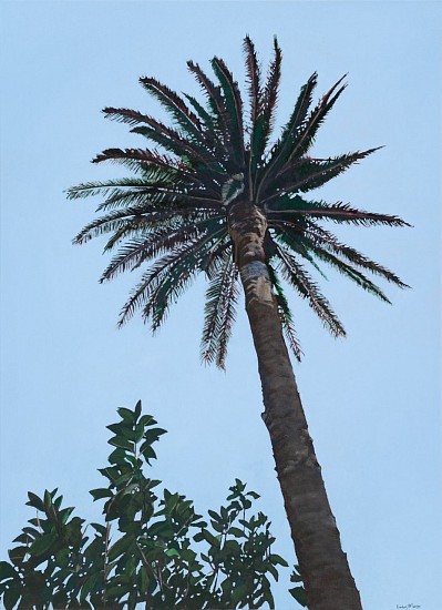 DENBY MEYER, Evening Palm
Acrylic on canvas