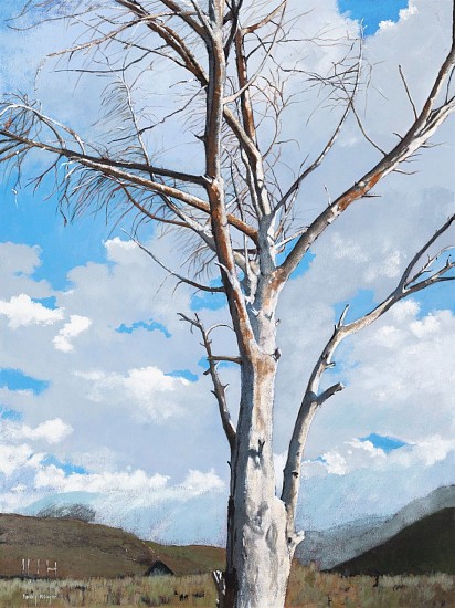 DENBY MEYER, Karoo Winter
Acrylic on canvas