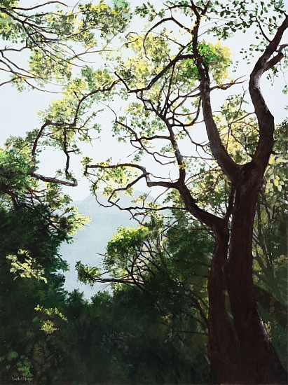 DENBY MEYER, Tangled
Acrylic on canvas