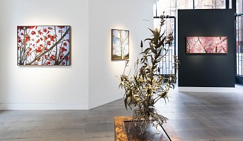 DSC3684 crop for mailchimp 3