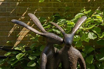 ERG London, Guy du Toit at Chelsea Physic Gardens Credit Damian Griffiths LR (8)