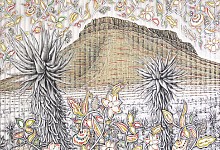 stephens afternoon light on graaff reinet aloes 114 x 140cm charcoal and newsprint collage on folded arches paper 2024.