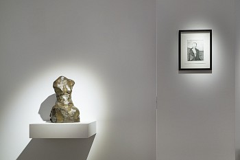 Winter 2024 (c) Damian Griffiths HR (25)