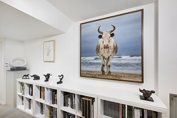 Winter 2024 (c) Damian Griffiths HR (31)