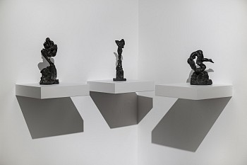 Winter 2024 (c) Damian Griffiths HR (26)