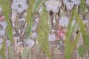 Arabella Caccia, Veld Flowers, Embroidery and applique on hand painted silk, 108 x 103 cm LR (c) Matt Slater (detail 1)