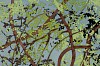 Arabella Caccia, Tree Canopy, embroidery and applique on hand painted silk, 35 x 35 cm LR (c) Matt Slater (detail 2)