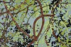 Arabella Caccia, Tree Canopy, embroidery and applique on hand painted silk, 35 x 35 cm LR (c) Matt Slater (detail 1)
