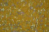 Arabella Caccia, Spring Flowers, Embroidery and applique on hand painted silk, 98 x 106 cm LR (c) Matt Slater (detail 2)