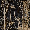 arabella caccia scorched earth embroidery and applique on hand painted silk 35 x 35 cm hr c matt slater 1 cropped