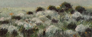arabella caccia renosterveld oil on board 25 x 60 cm hr c matt slater 1 cropped