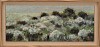 Arabella Caccia, Renosterveld, oil on board, 25 x 60 cm LR (c) Matt Slater (1)
