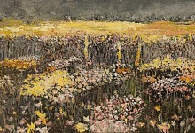 arabella caccia namaqualand flowers oil on board 25 x 60 cm hr c matt slater 1 cropped