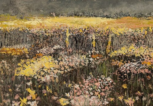 arabella caccia namaqualand flowers oil on board 25 x 60 cm hr c matt slater 1 cropped
