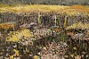 Arabella Caccia, Namaqualand Flowers, oil on board, 25 x 60 cm LR (c) Matt Slater (detail 1)