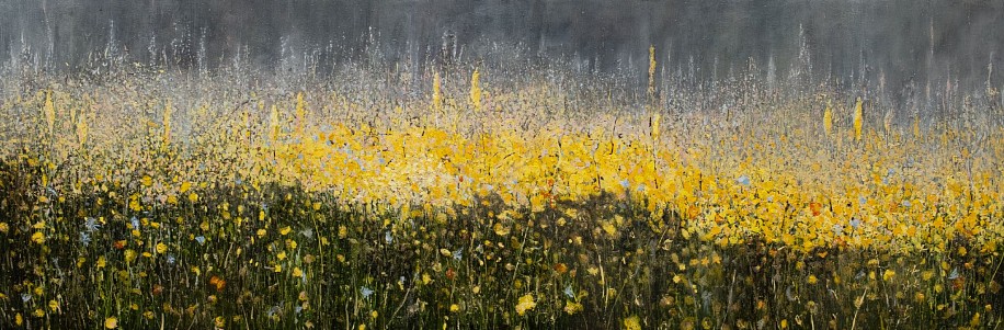 ARABELLA CACCIA, Namaqualand
Oil on board