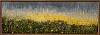 Arabella Caccia, Namaqualand, oil on board, 60 x 180 cm LR (c) Matt Slater (1)
