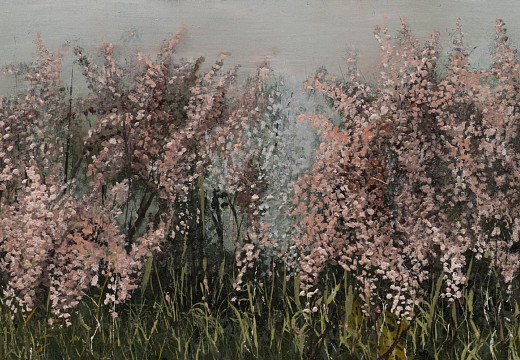 arabella caccia keurboom woodland oil on board 20 x 50 cm hr c matt slater 1 cropped