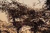 Arabella Caccia, Window at Dawn I, mixed media on paper, 54 x 76 cm LR (c) Matt Slater (detail 1)