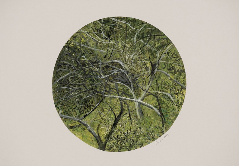 ARABELLA CACCIA, Window to the Forest I
Mixed media on paper