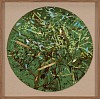 Arabella Caccia, Window to the Forest II, Embroidery and applique on hand painted silk, 54 cm diameter LR (c) Matt Slater (1)