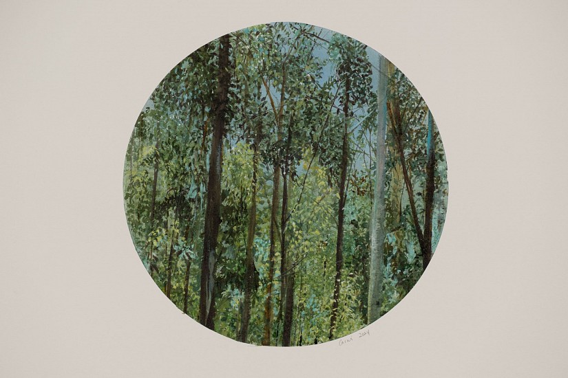 ARABELLA CACCIA, Window to the Wood I
Mixed media on paper