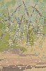 Arabella Caccia, Woodland, Embroidery and applique on hand painted silk, 40 x 40 cm LR (c) Matt Slater (detail 1)
