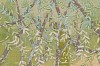 Arabella Caccia, Woodland, Embroidery and applique on hand painted silk, 40 x 40 cm LR (c) Matt Slater (detail 2)