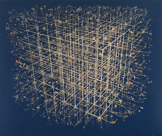 GERHARD MARX, SPATIAL DIMENSIONAL (FEBRUARY)
PLANT MATERIAL & PU GROUND ON CANVAS WITH BOARD