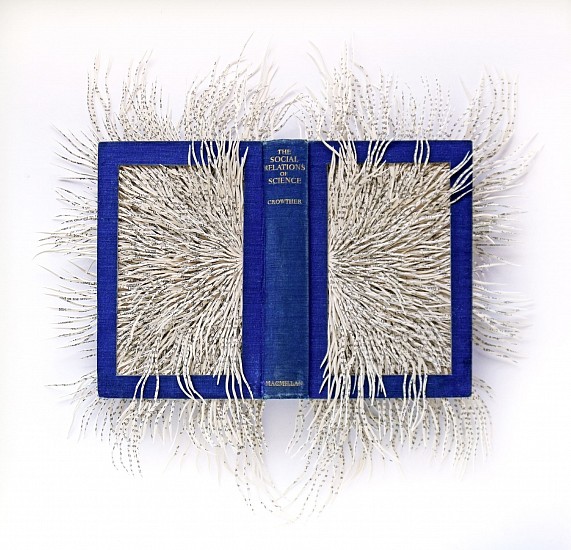 BARBARA WILDENBOER, THE SOCIAL RELATIONS OF SCIENCE
HAND CUT ALTERED BOOK