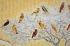 Sparrow Weaver Acacia, Kalahari, 78 x 114 cm, chalk pastel, newsprint collage and charcoal on paper, 2025 (detail 1)