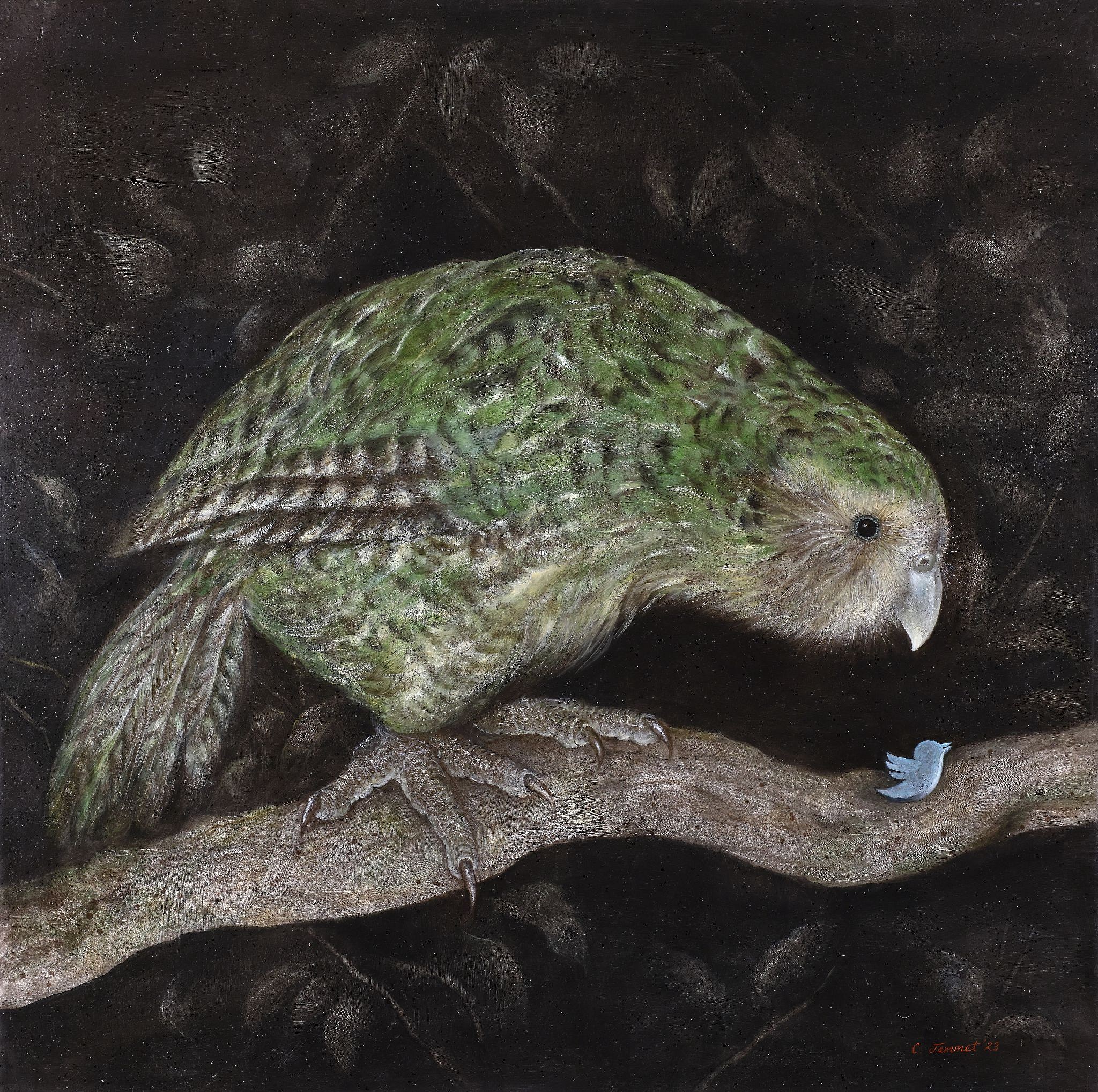 claude jammet fallout oil on paper on canvas 70 x 70 cm