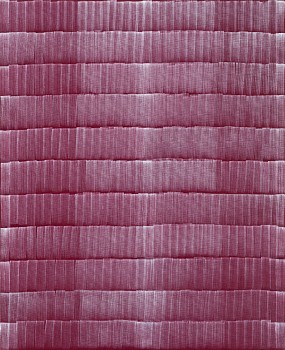 cathy abraham light spectre white on red 54 x 44 cm hr