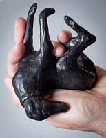 Bailey Nicola Loving Friend of Teddy